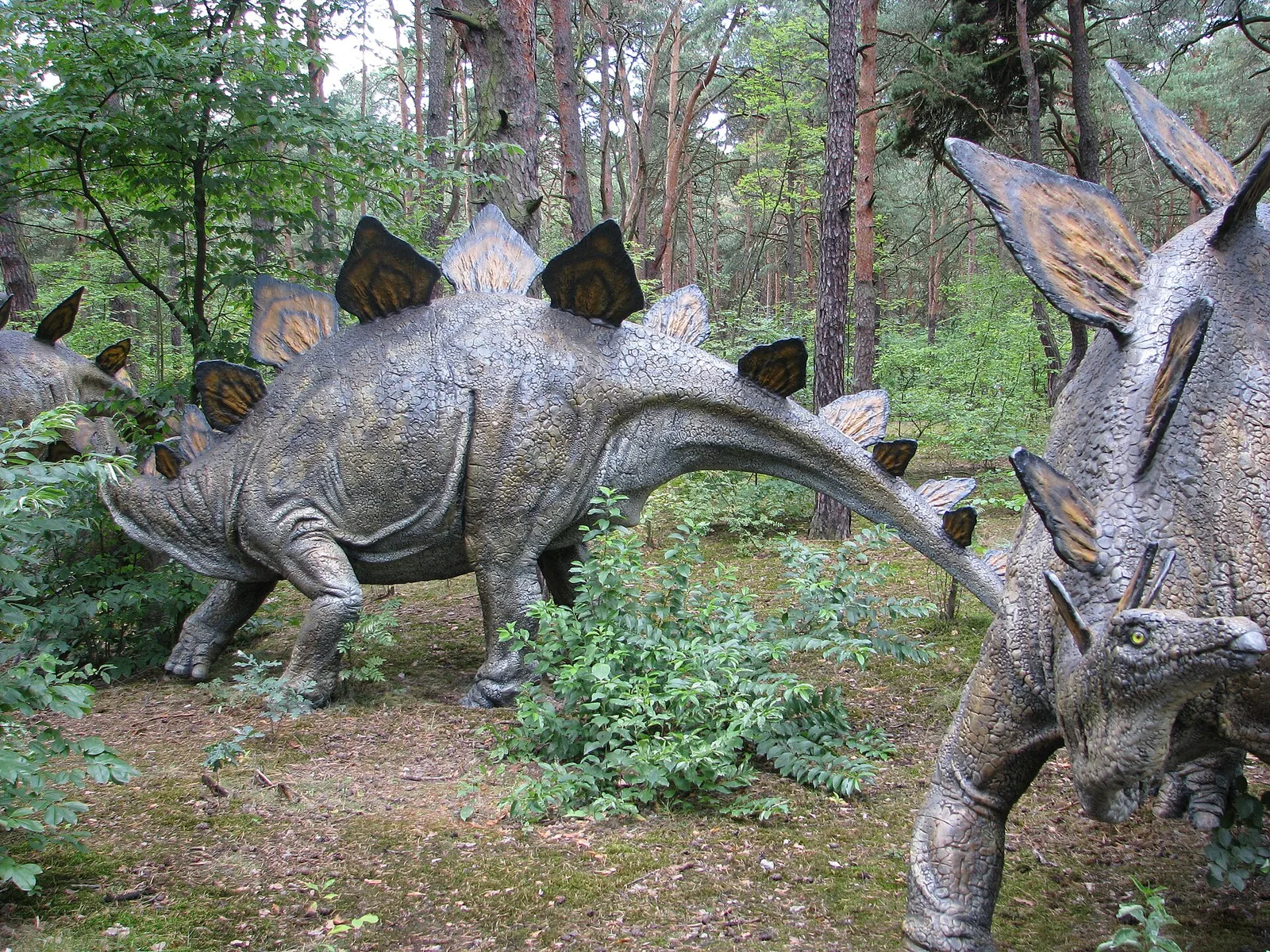 Jurapark, Solec Kujawski, Poland (www.juraparksolec.pl)