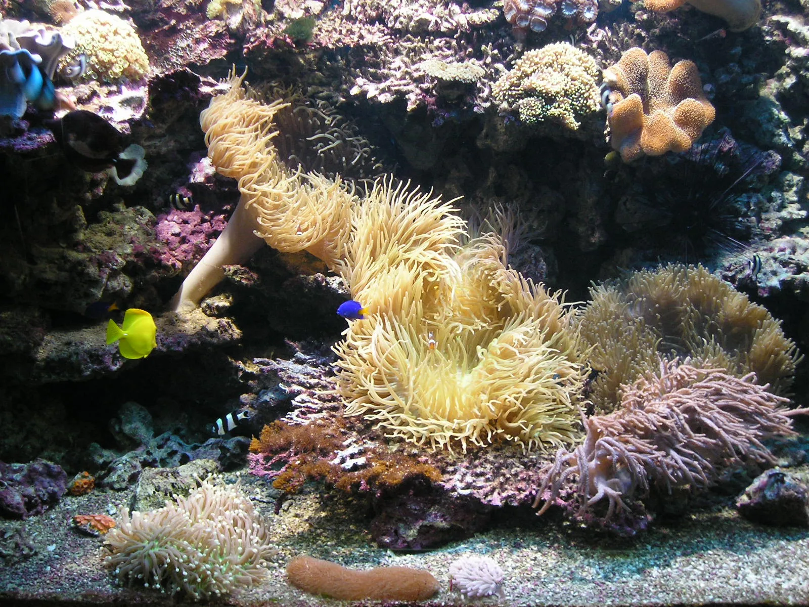 Gdynia Aquarium, 2005, Gdynia, Poland.