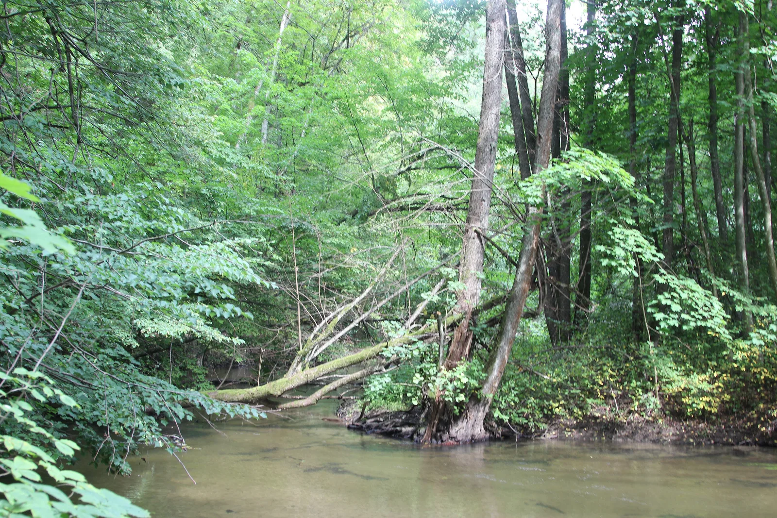 Nature reserve Jar Raduni
