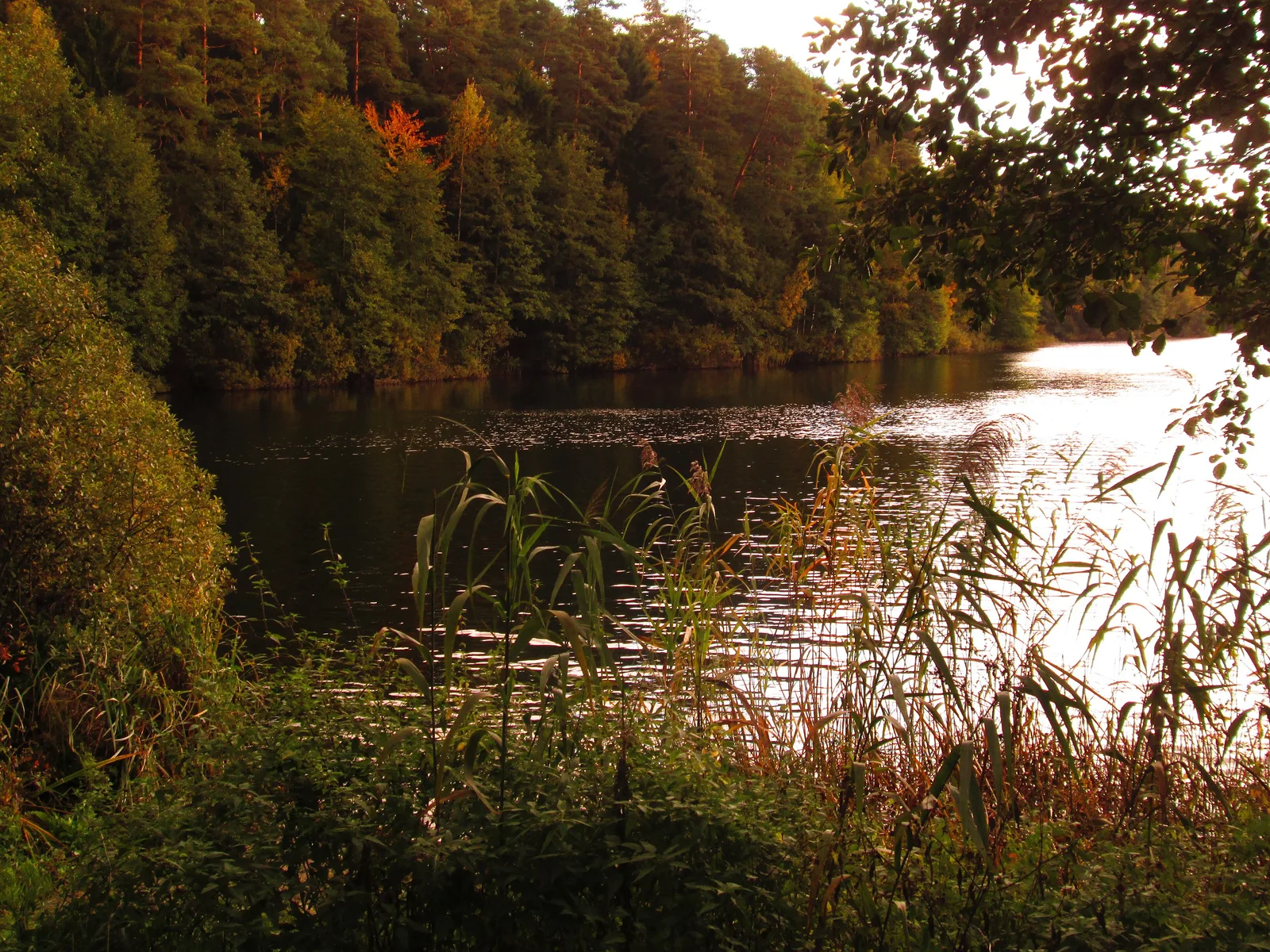 The Long Like in Olsztyn