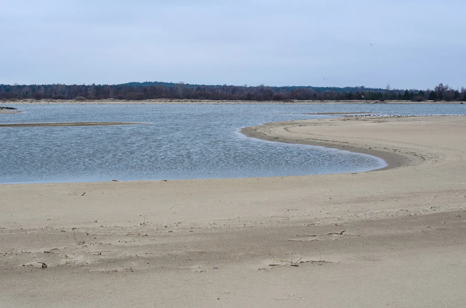 This is a photography of protected area with CRFOP ID