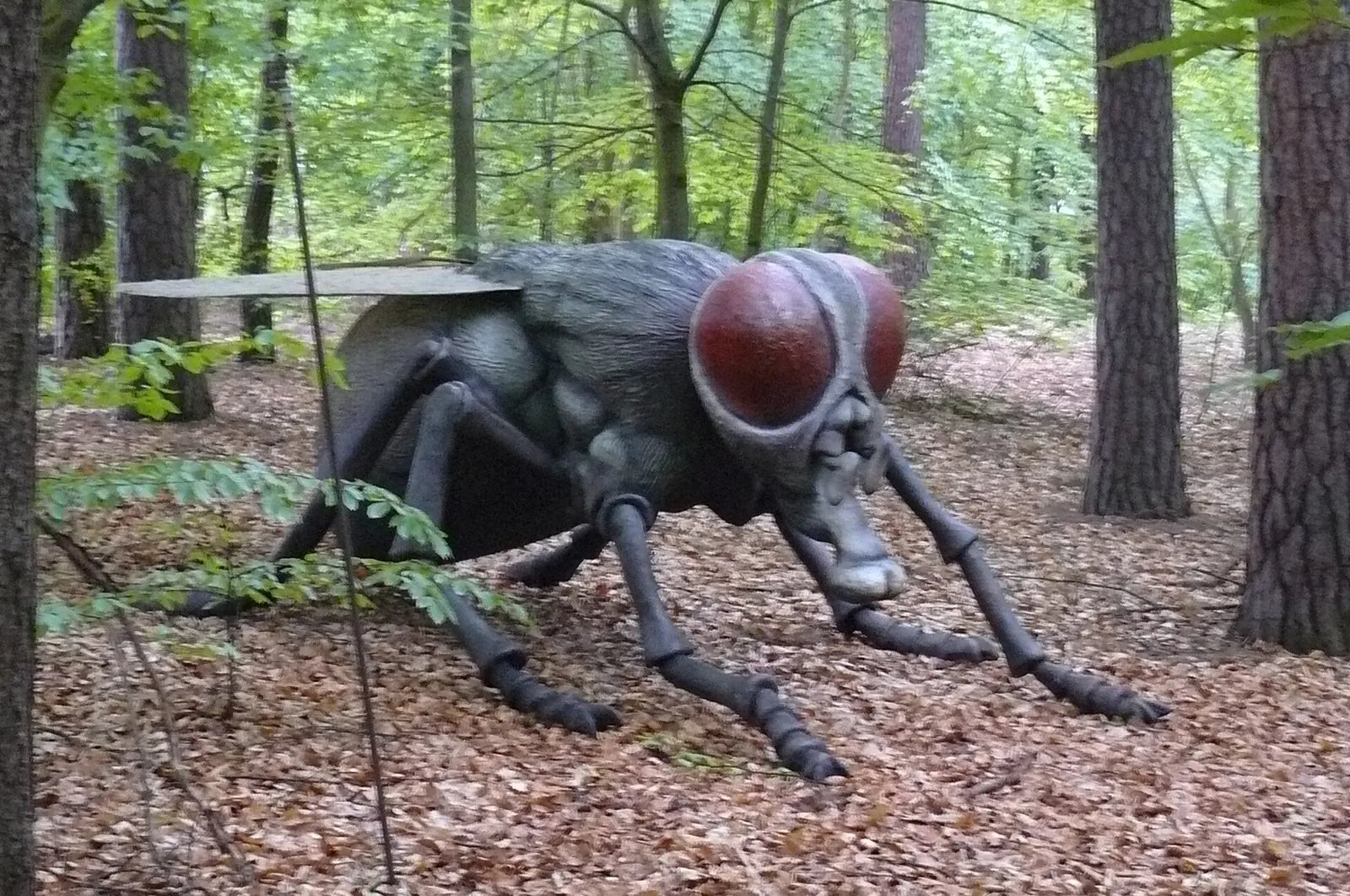 JuraPark Sole Kujawski.