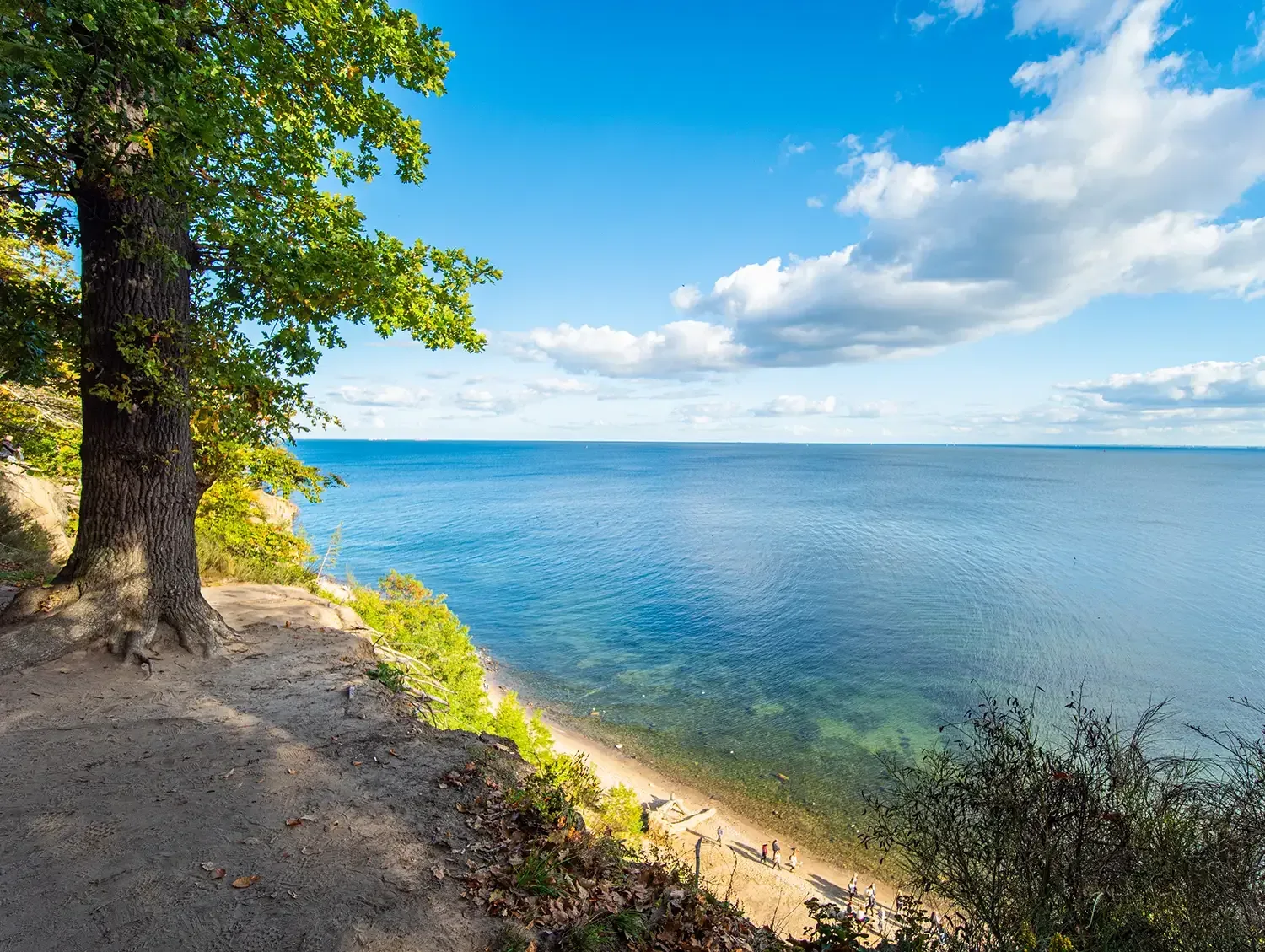 Promenada nadmorska w stronę Gdyni