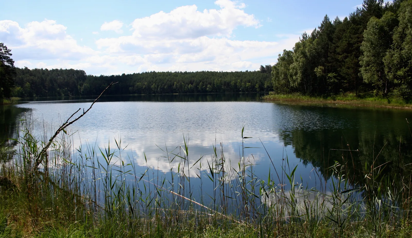 Zaborski Park Krajobrazowy , Jezioro Nawionek