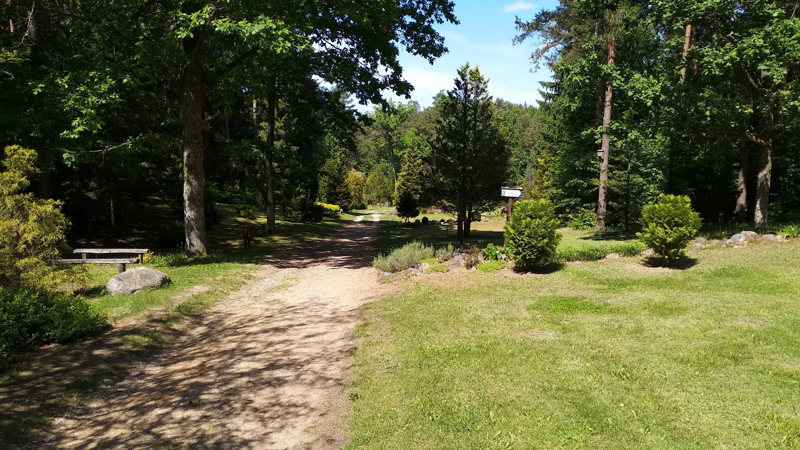 Arboretum w Kopnej Górze.