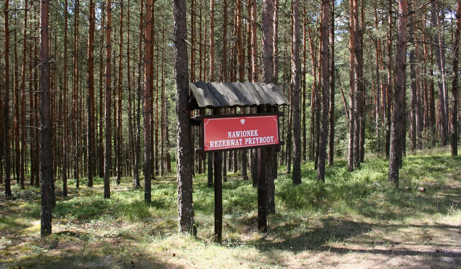 Zaborski Park Krajobrazowy , tablica rezerwatu przyrody Jezioro Nawionek