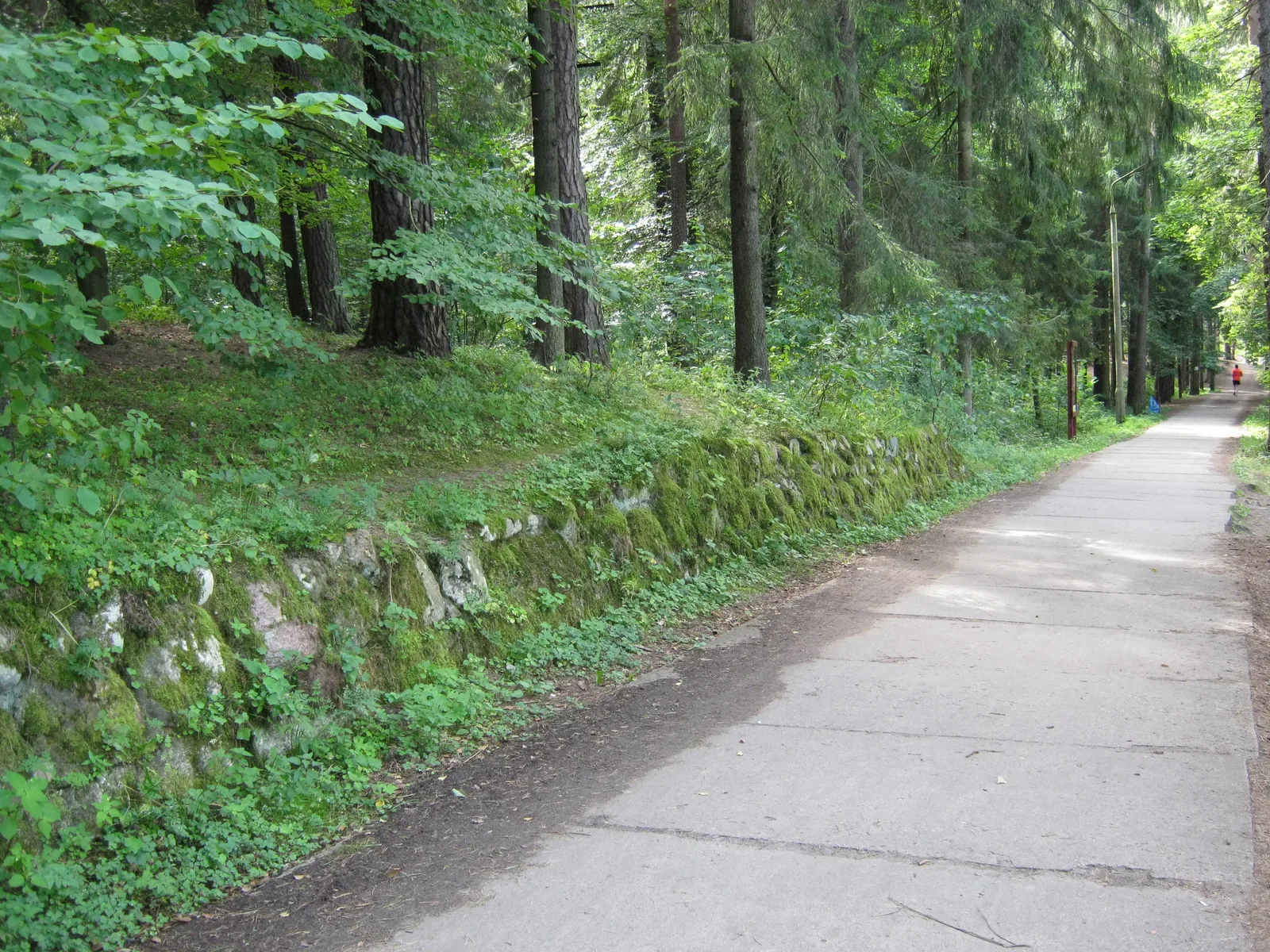 The City Forest in Olsztyn