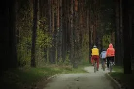 Ścieżka rowerowa „Flora i fauna naszego lasu”