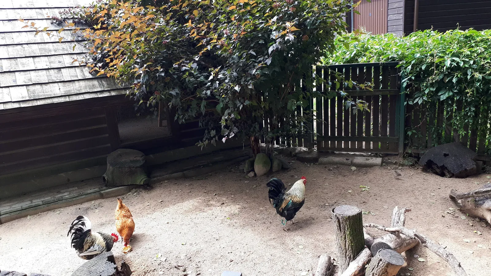 Akcent Zoo in Białystok