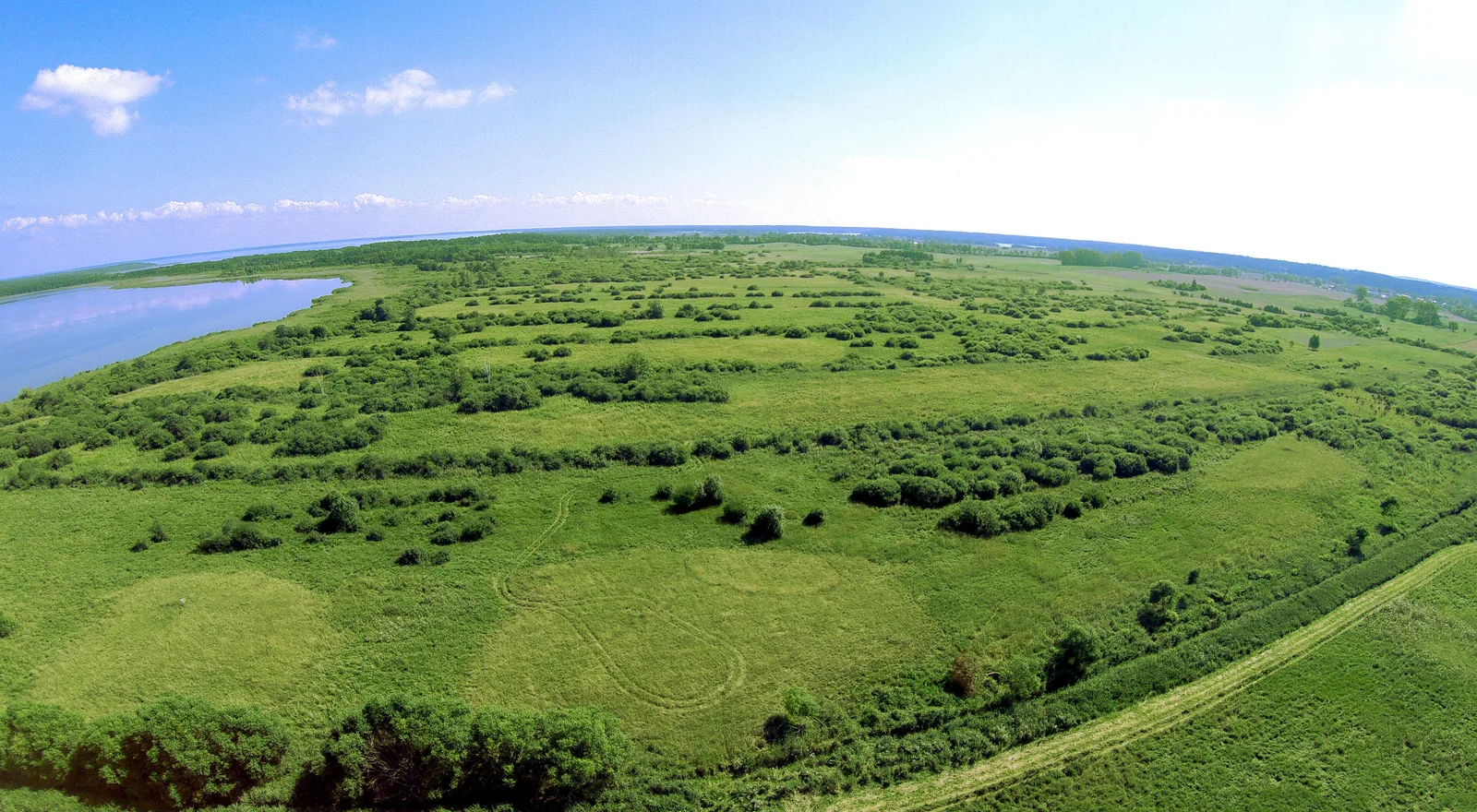 This is a photography of protected area with CRFOP ID