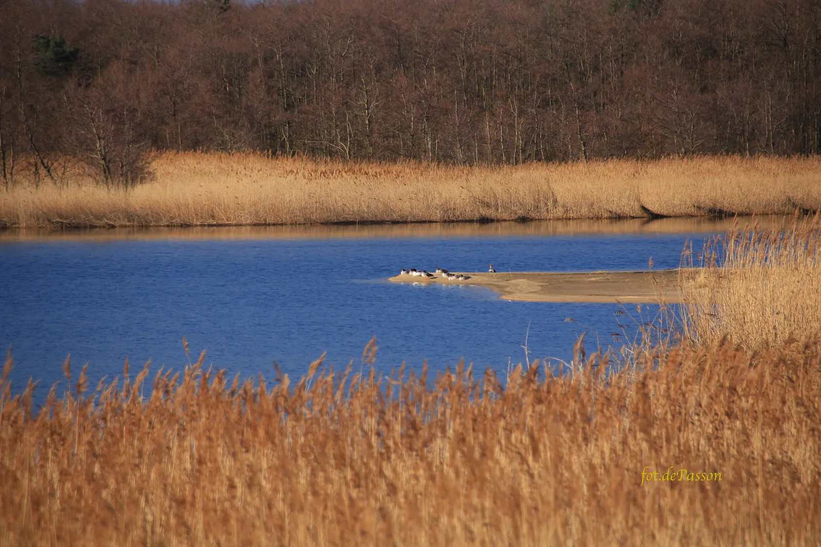 This is a photography of protected area with CRFOP ID