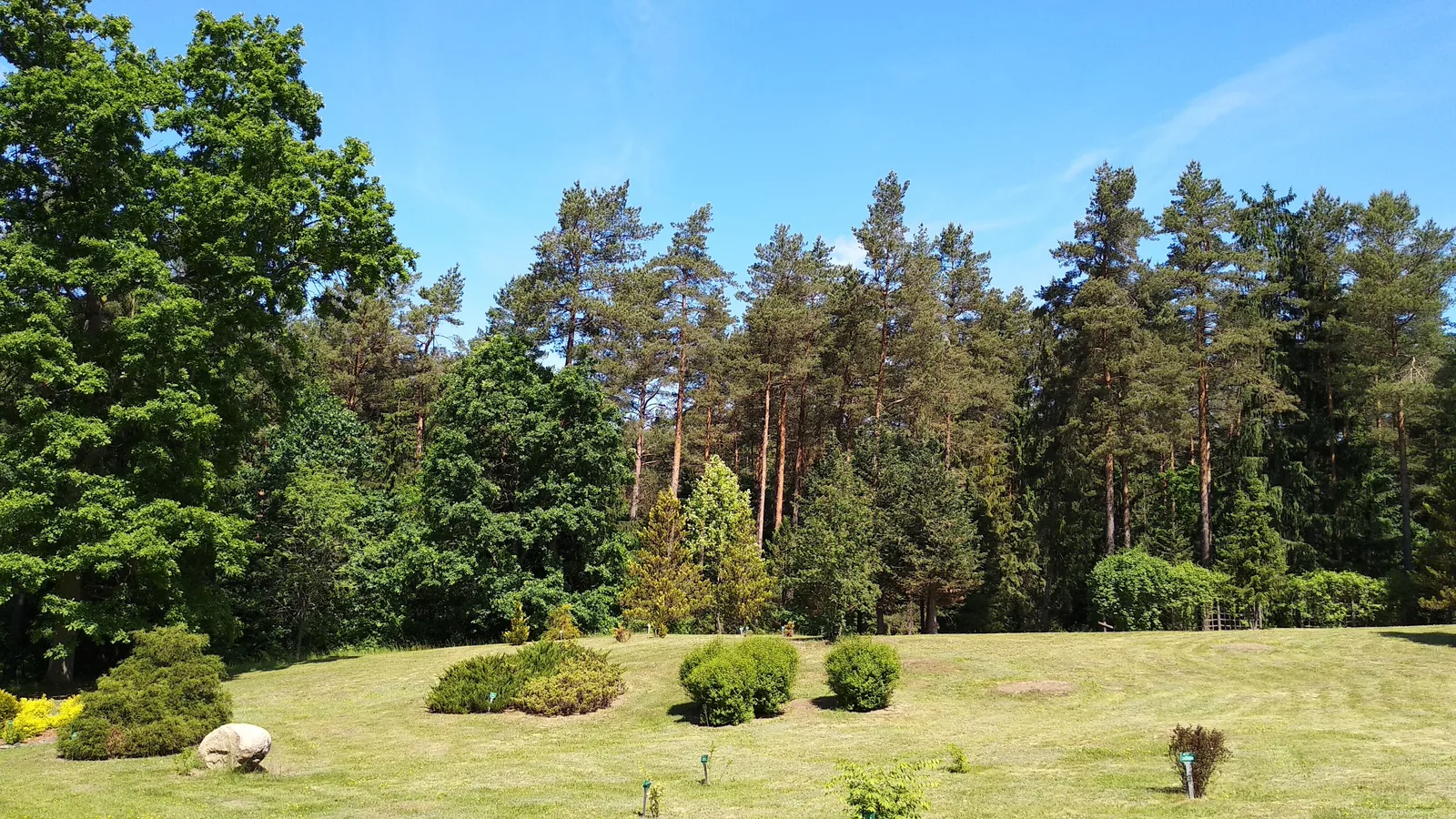 Arboretum w Kopnej Górze.