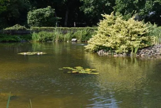 Park Edukacji Przyrodniczo-Leśnej im. Św. Huberta w Żołędowie