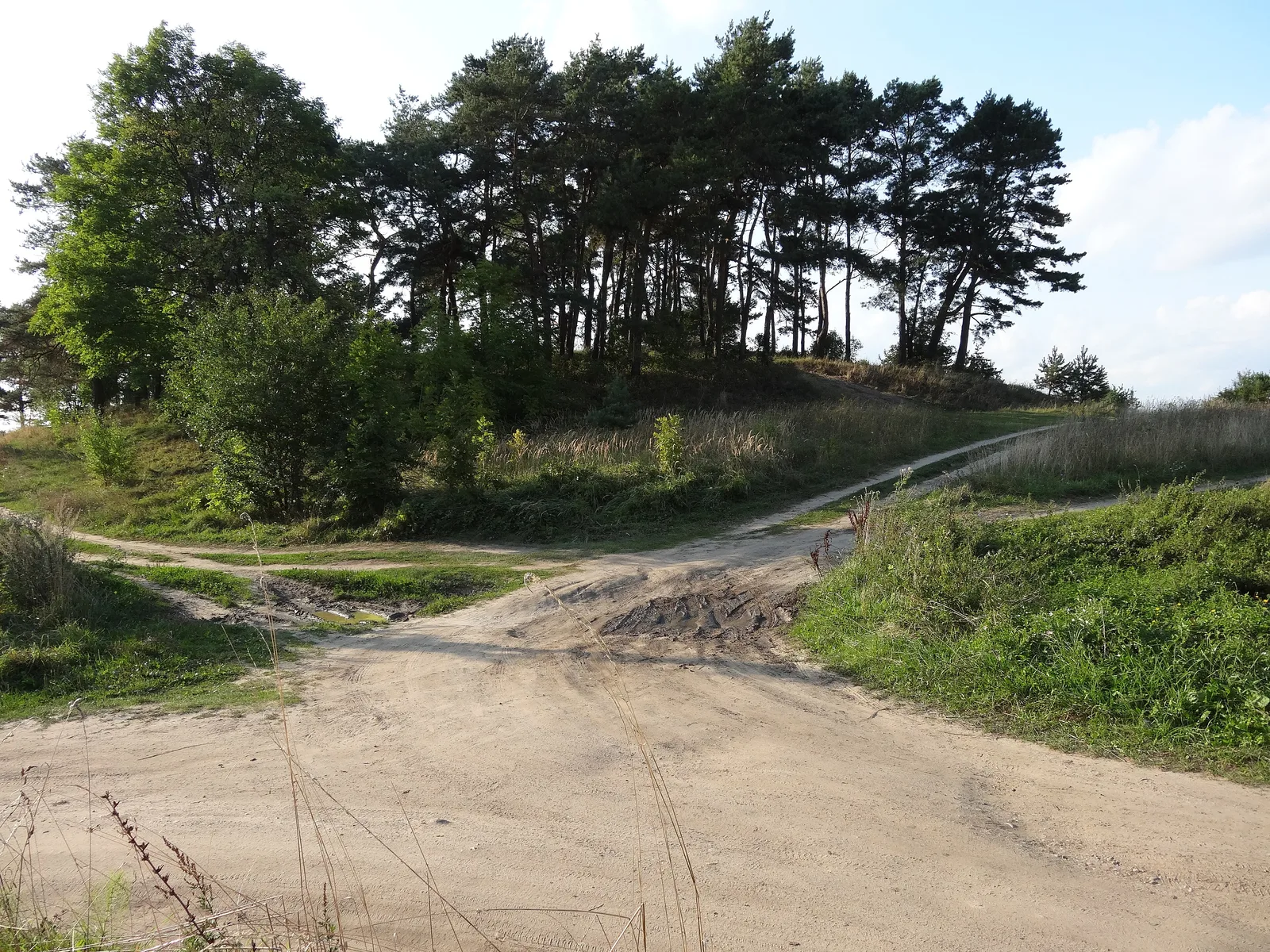 Szeroki Ostrów - wyspa na jeziorze Śniardwy .