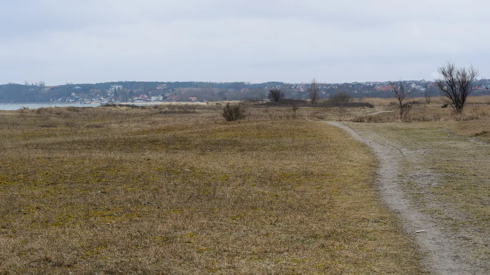 Nadmorskie łąki i trzcinowiska rezerwatu, w głębi zabudowania Mechelinek
