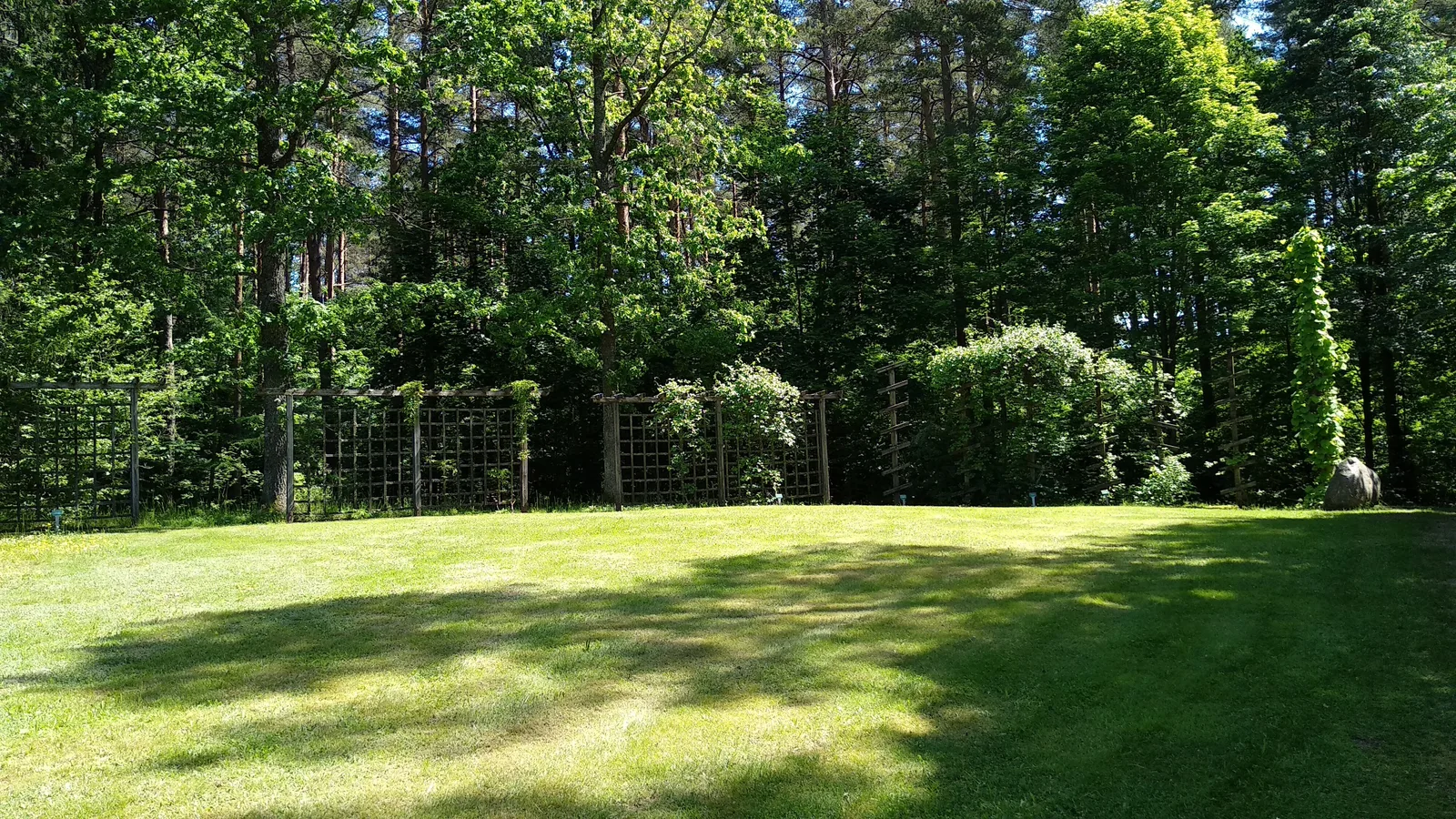 Arboretum w Kopnej Górze.