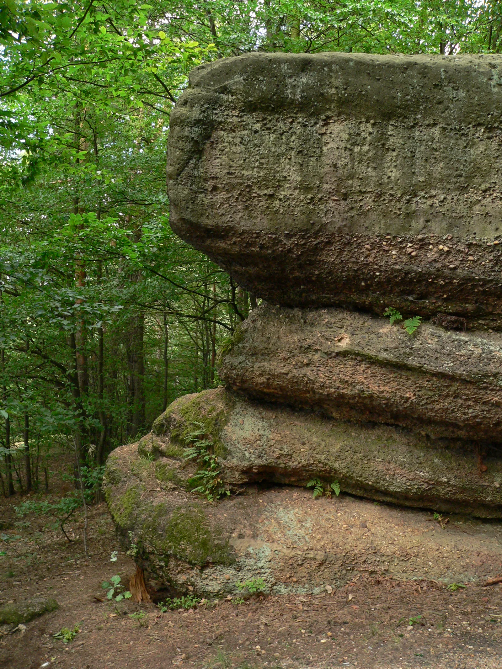 Conglomerate rocks in "Piekiełko Szkuckie" nature reserve, Poland