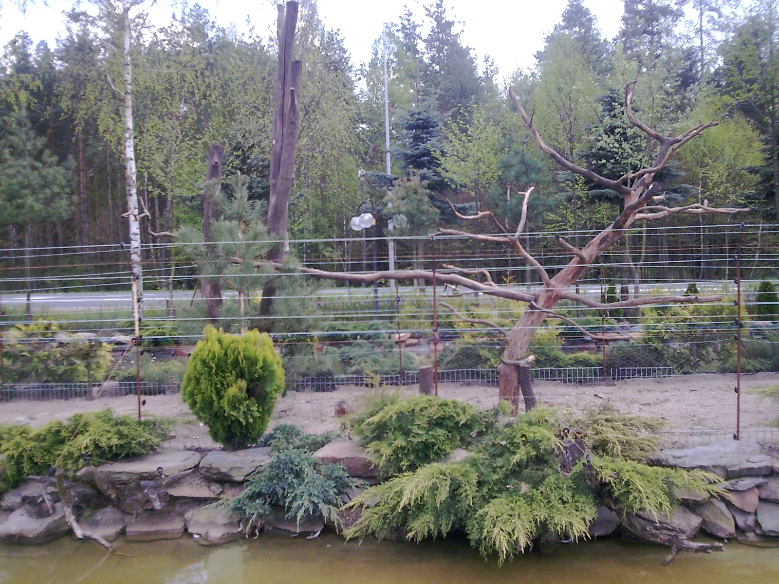 Sieroczyn - Mini Zoo przy DK 22