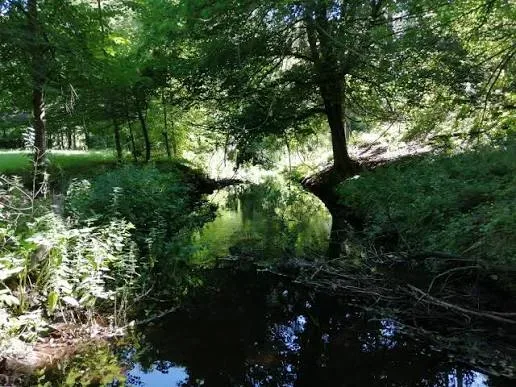 Ścieżka edukacyjno-przyrodnicza „Ku źródliskom”