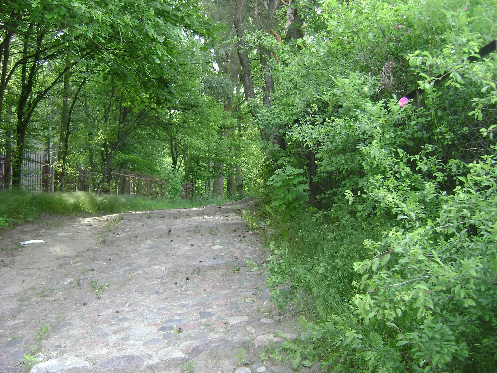 Poland. Kuyavian-Pomeranian Voivodeship. Lipno