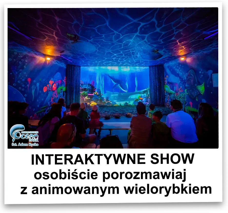 Ocean Park Władysławowo
