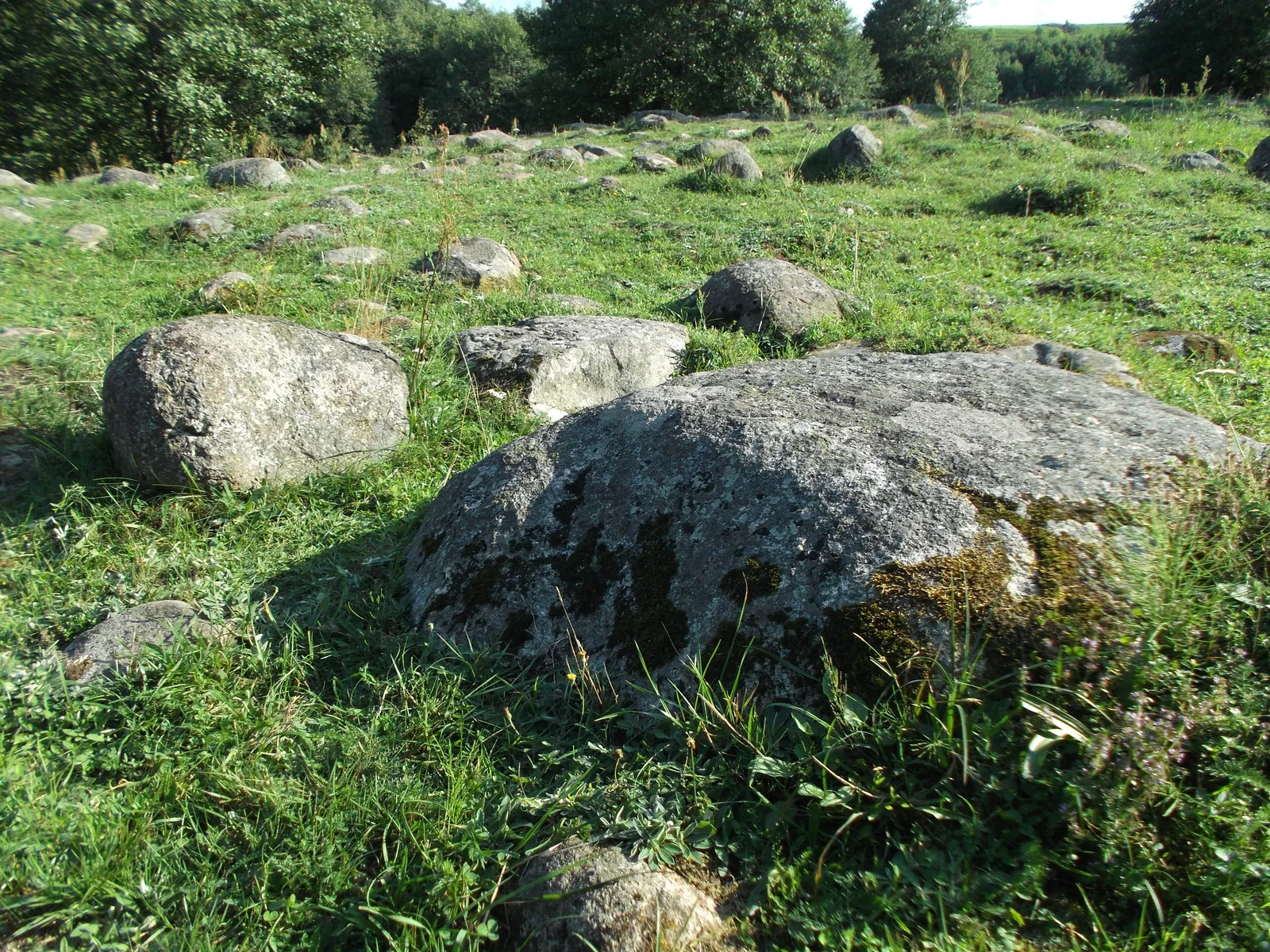 This is a photography of protected area with CRFOP ID