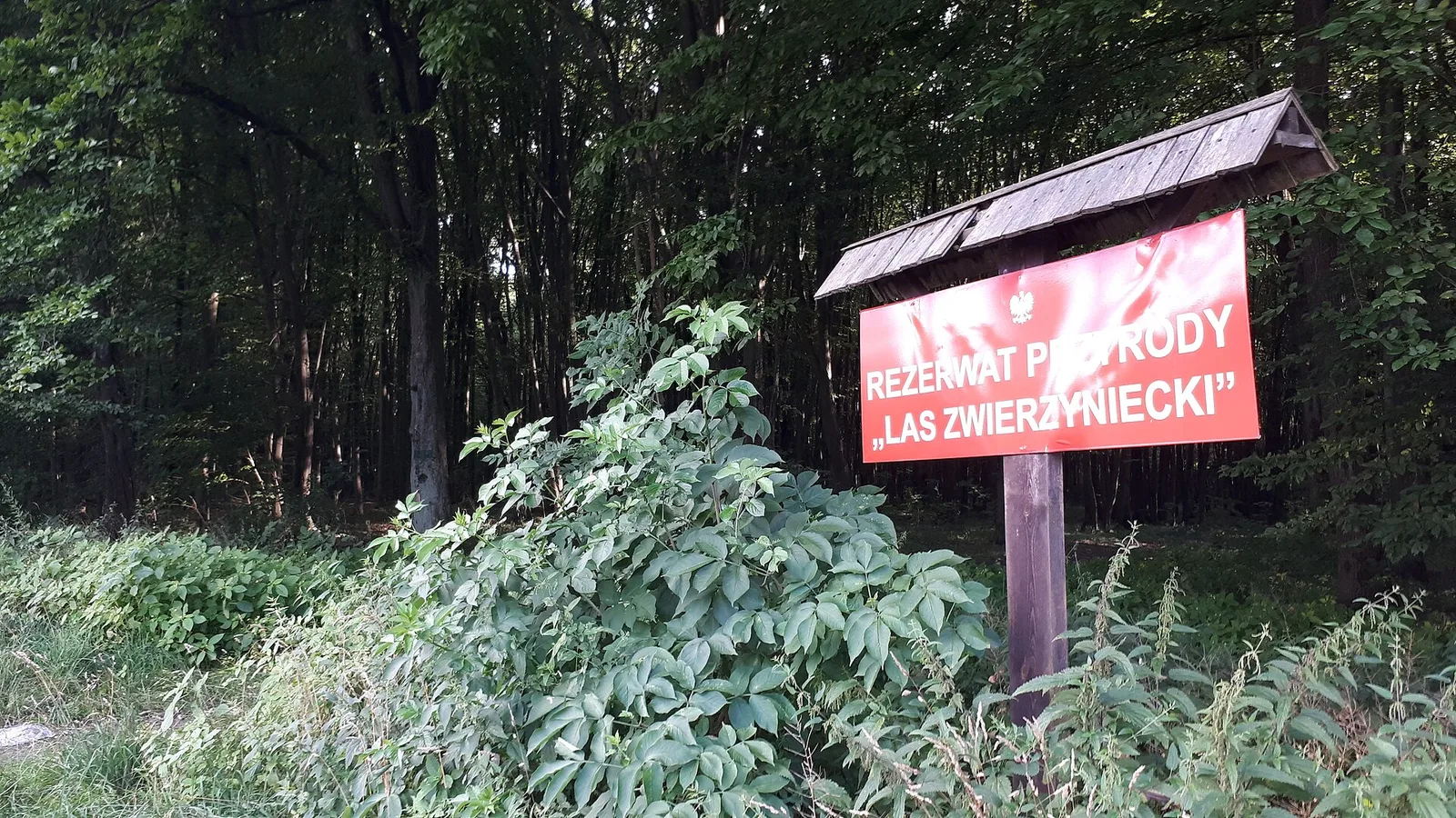 July 2022 in Białystok