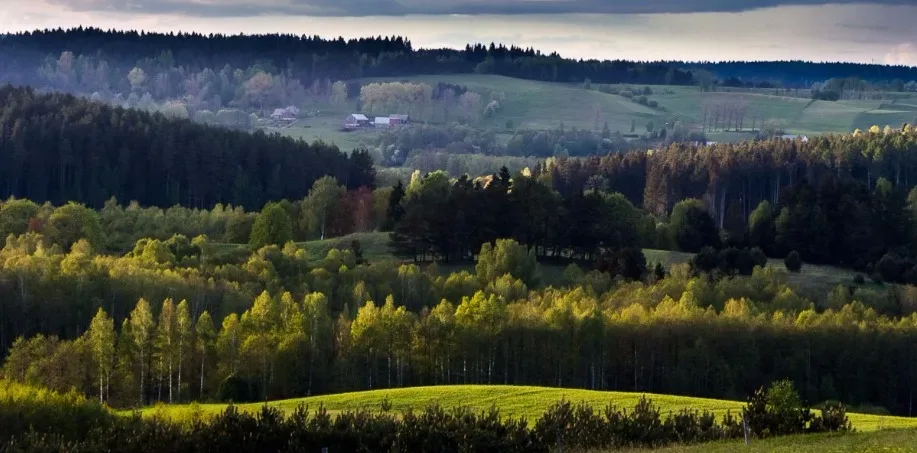 Suwalszczyzna