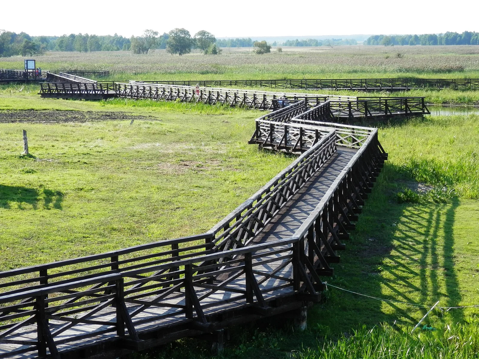 Narew river in Waniewo, Poland
