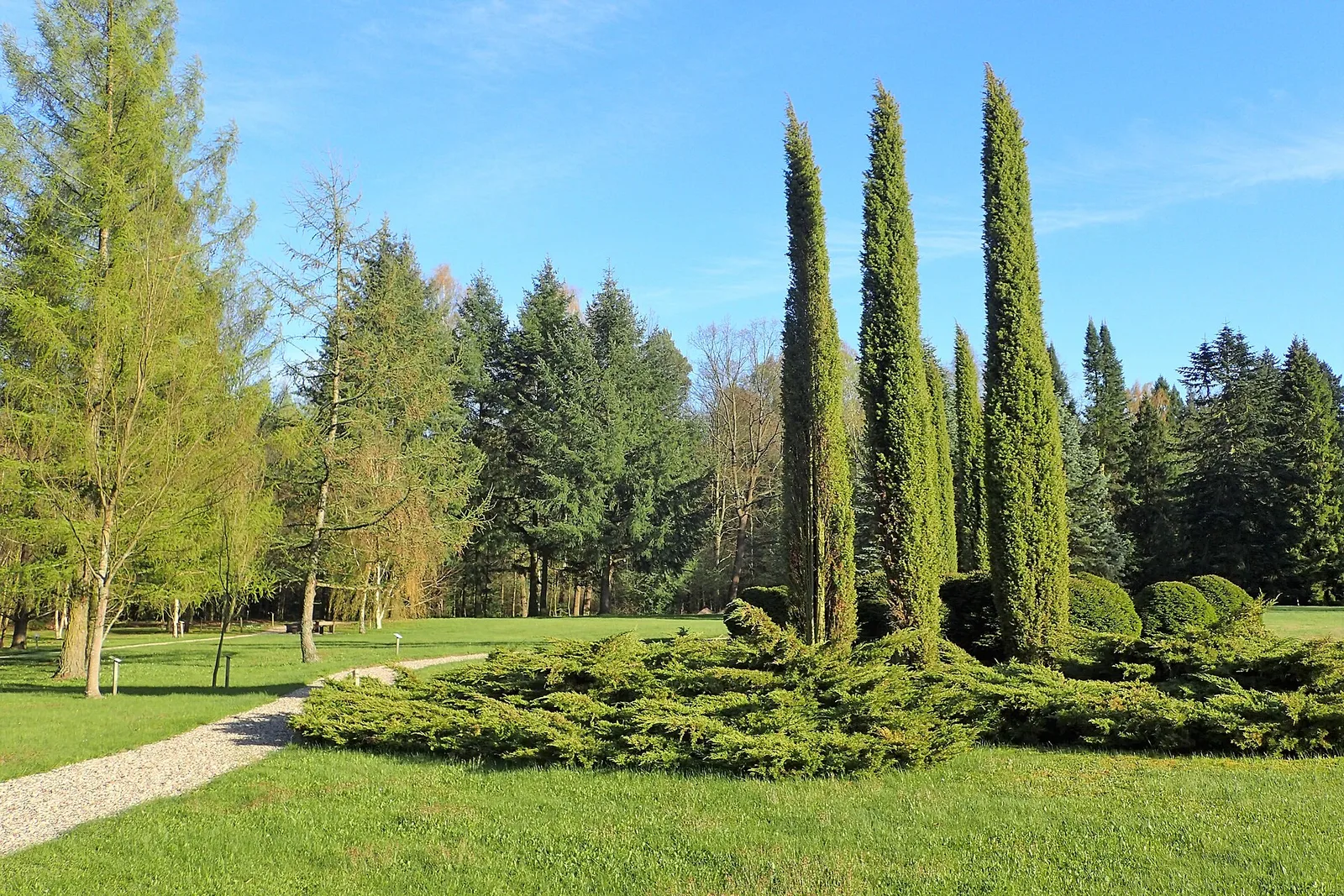 Arboretum Wirty