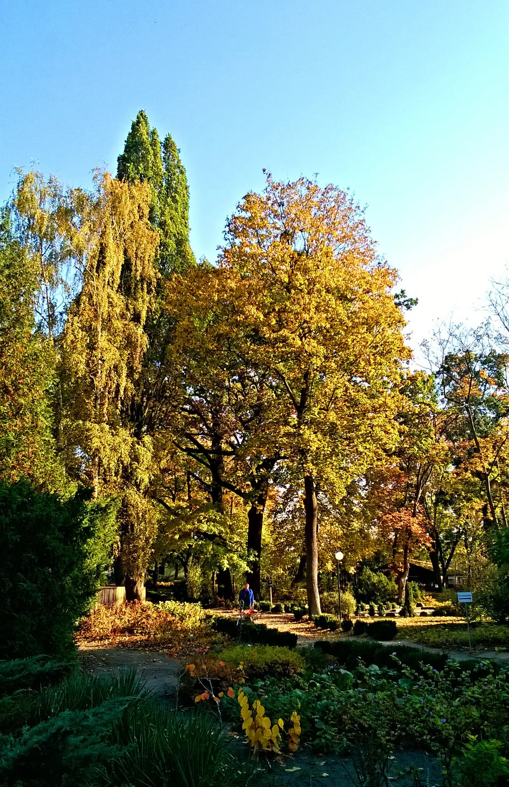 Ogród Zoobotaniczny w Toruniu