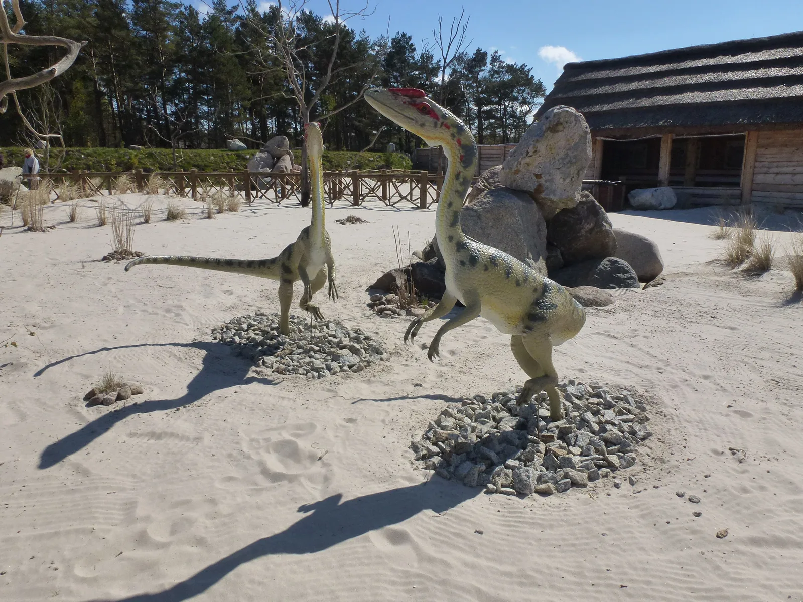 "Park Dinozaurow", Leba, Poland ("Park Dinozaurów", Łeba, Polska)