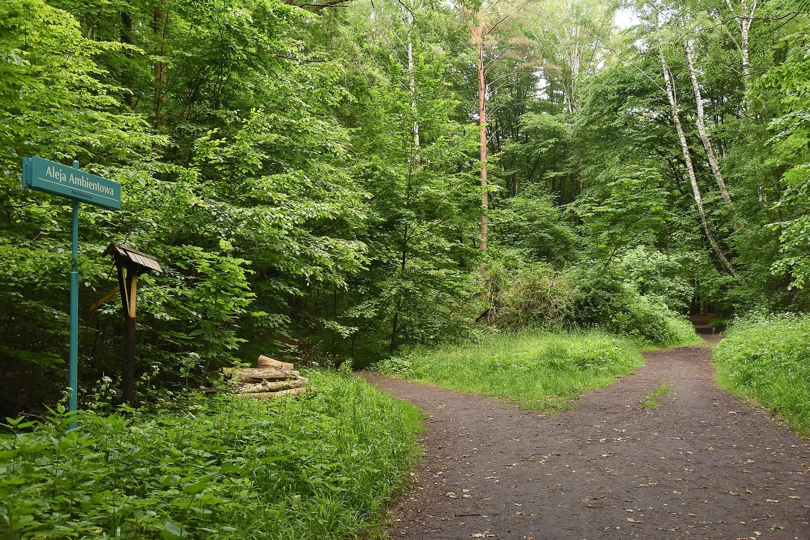 June 2022 in Białystok