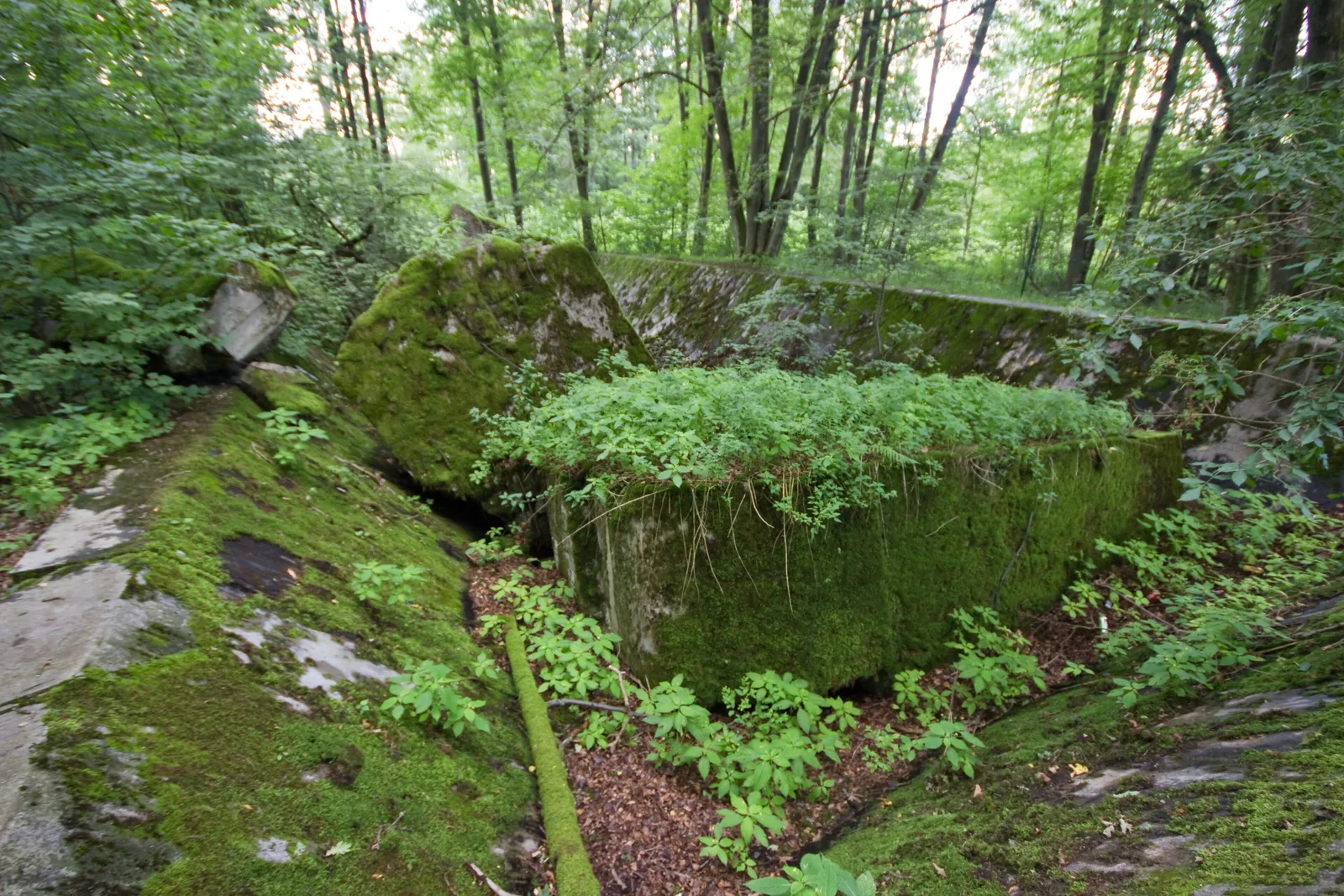 Wolf's Lair, gmina Kętrzyn, powiat kętrzyński, Warmian-Masurian Voivodeship