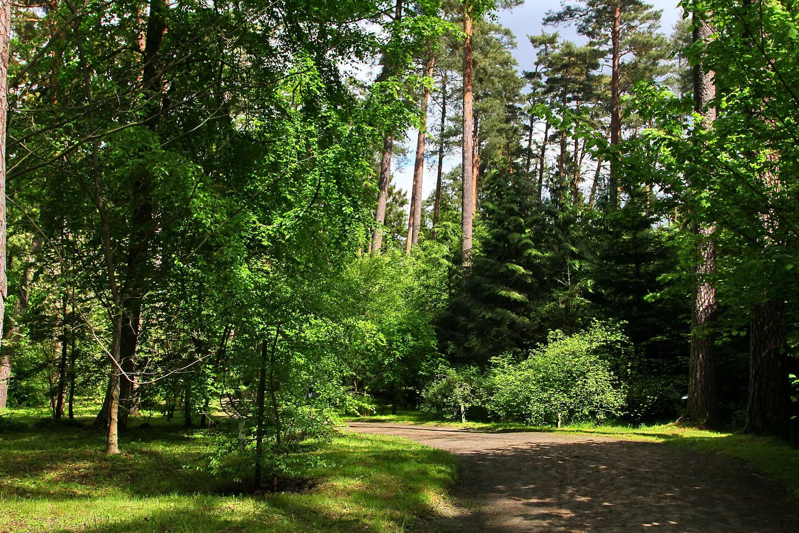Leśne Arboretum Warmii i Mazur w Kudypach im. Polskiego Towarzystwa Leśnego.