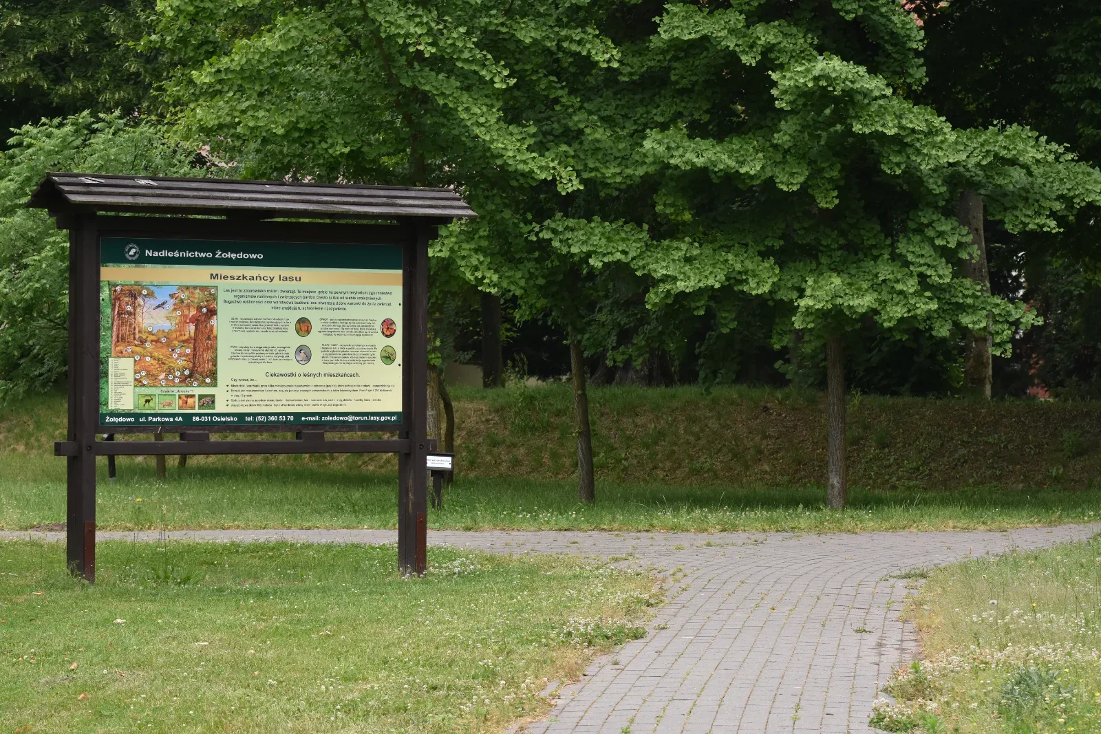 Park Edukacji Przyrodniczo-Leśnej im. Św. Huberta w Żołędowie
