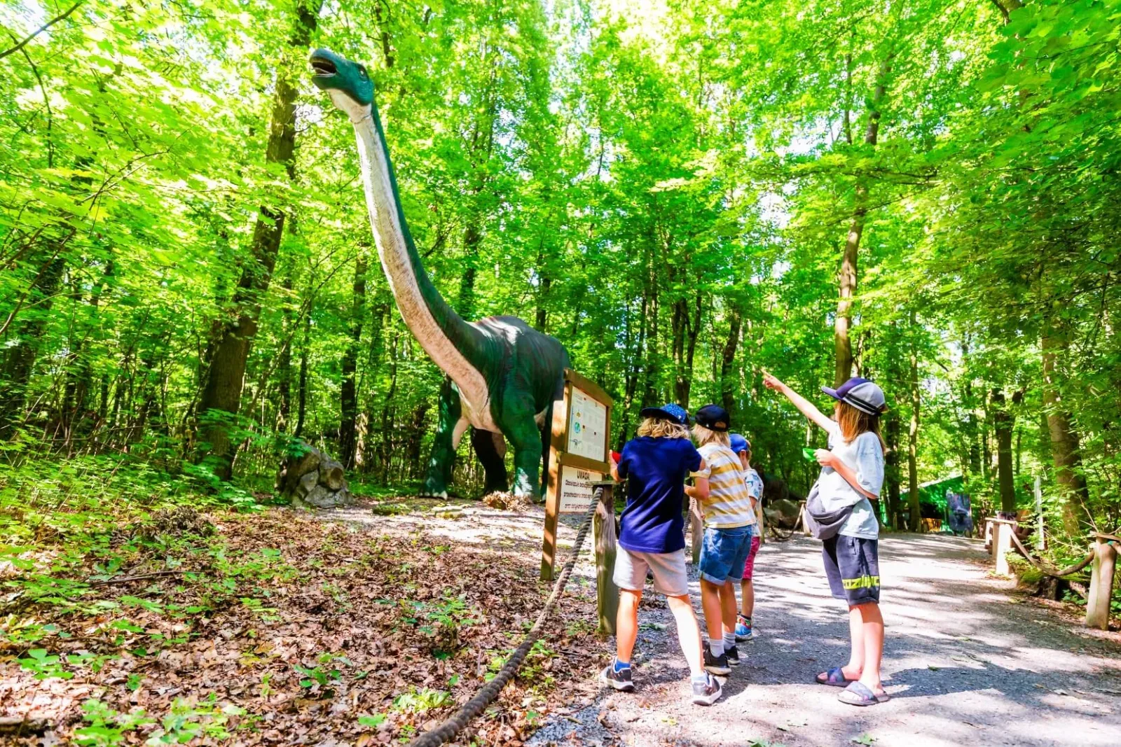 Dino Park w Malborku