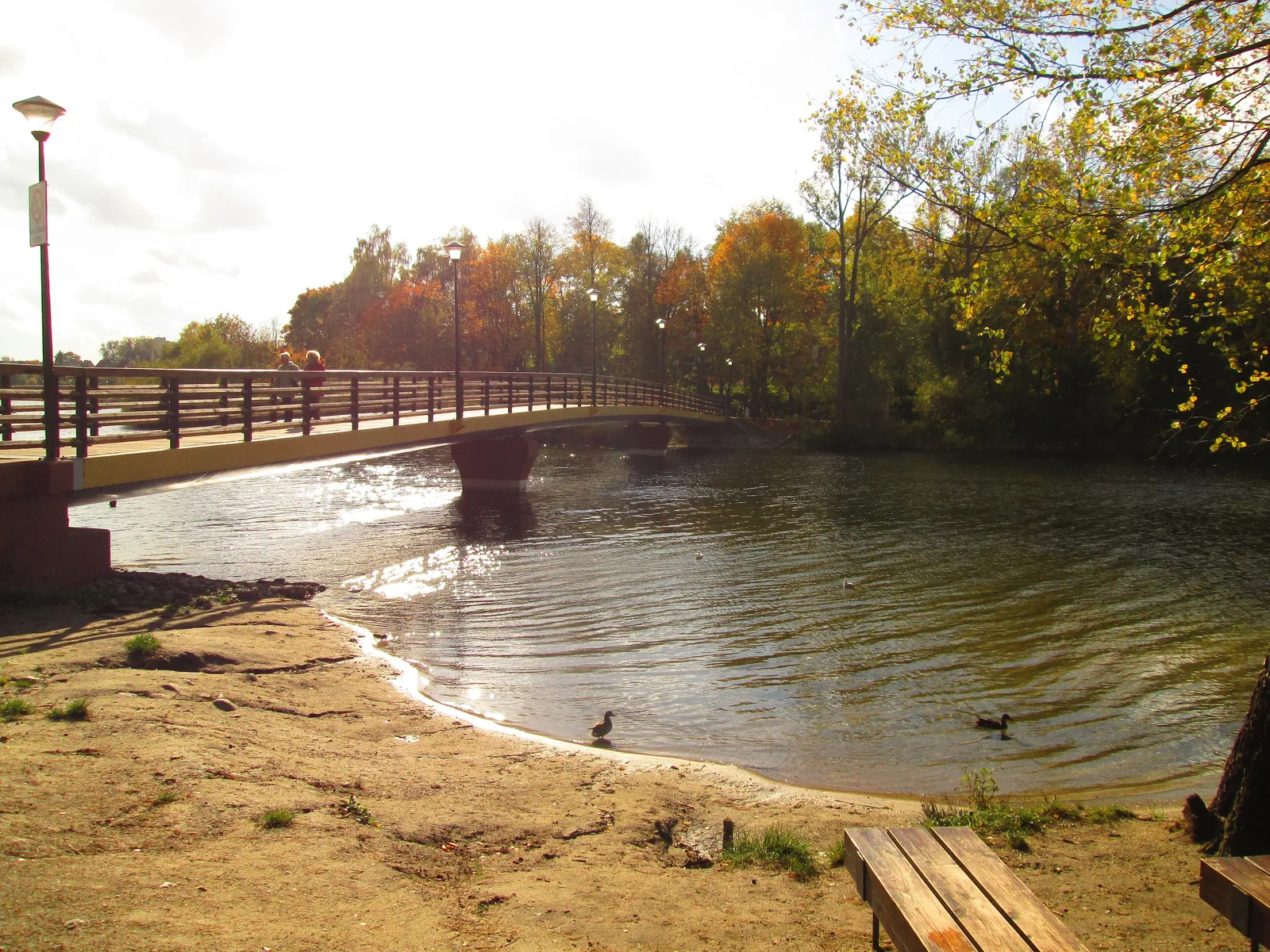 The Long Like in Olsztyn