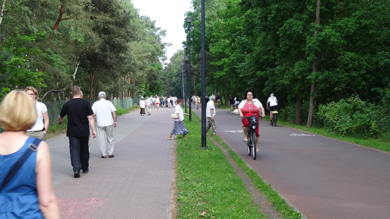 Gdansk, bicycle path along the seashore