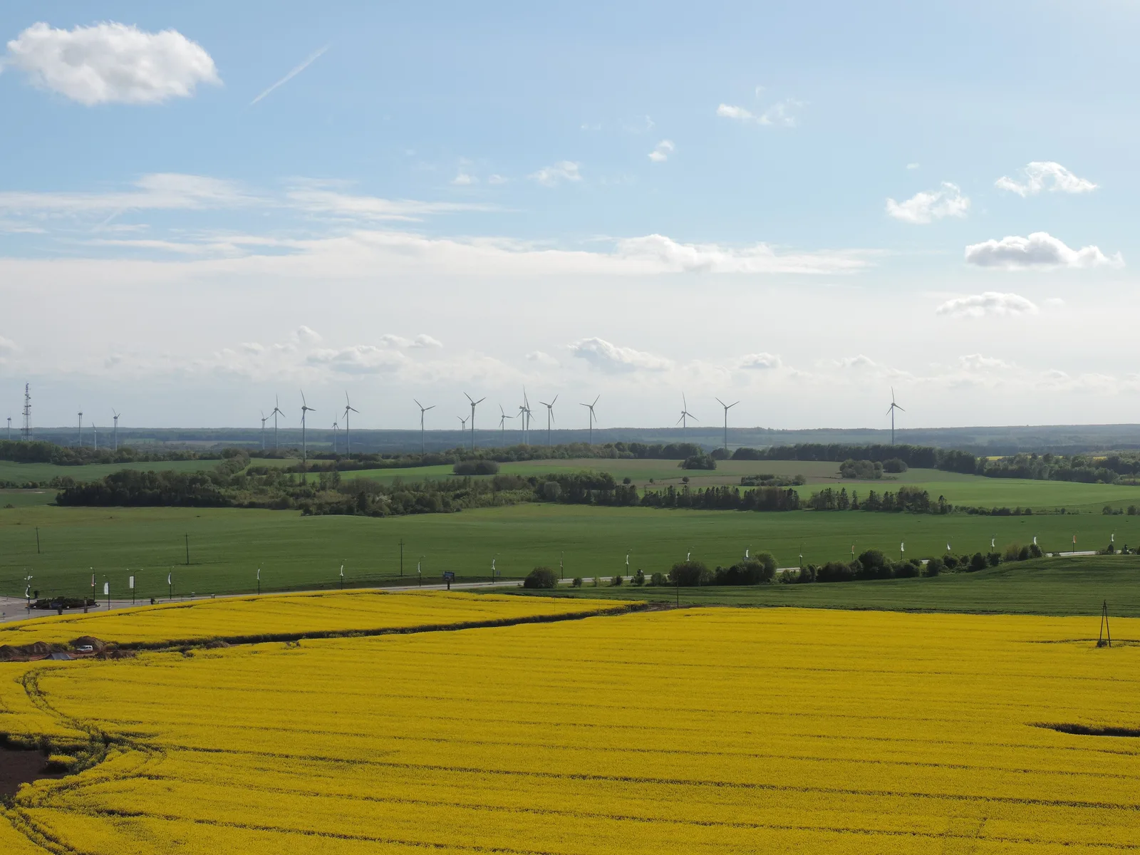 View from Kaszubskie Oko Tower rapeseed fields in Gniewino