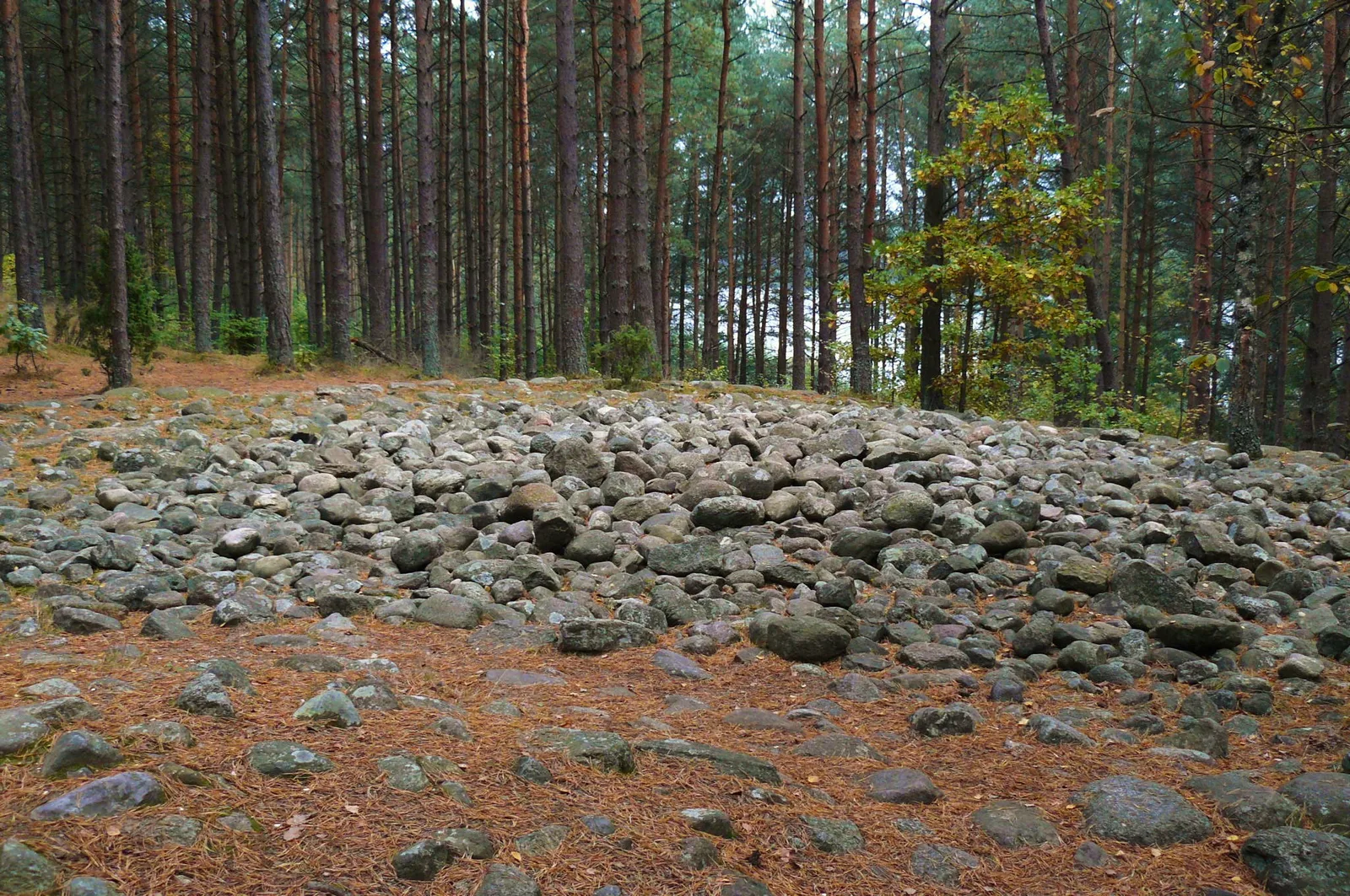 Kręgi kamienne w Węsiorach.