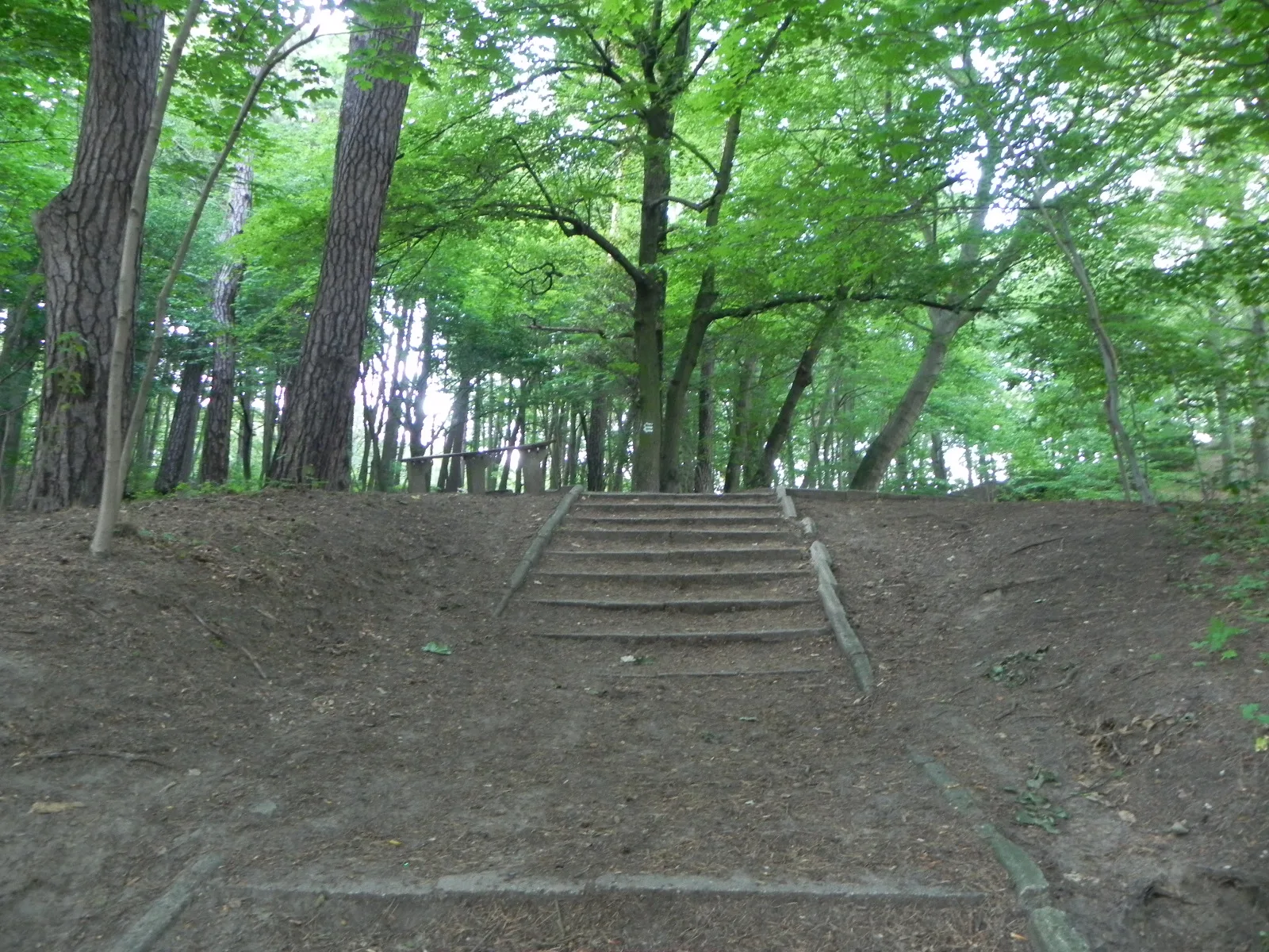 Oliwa, Gdańsk, Poland