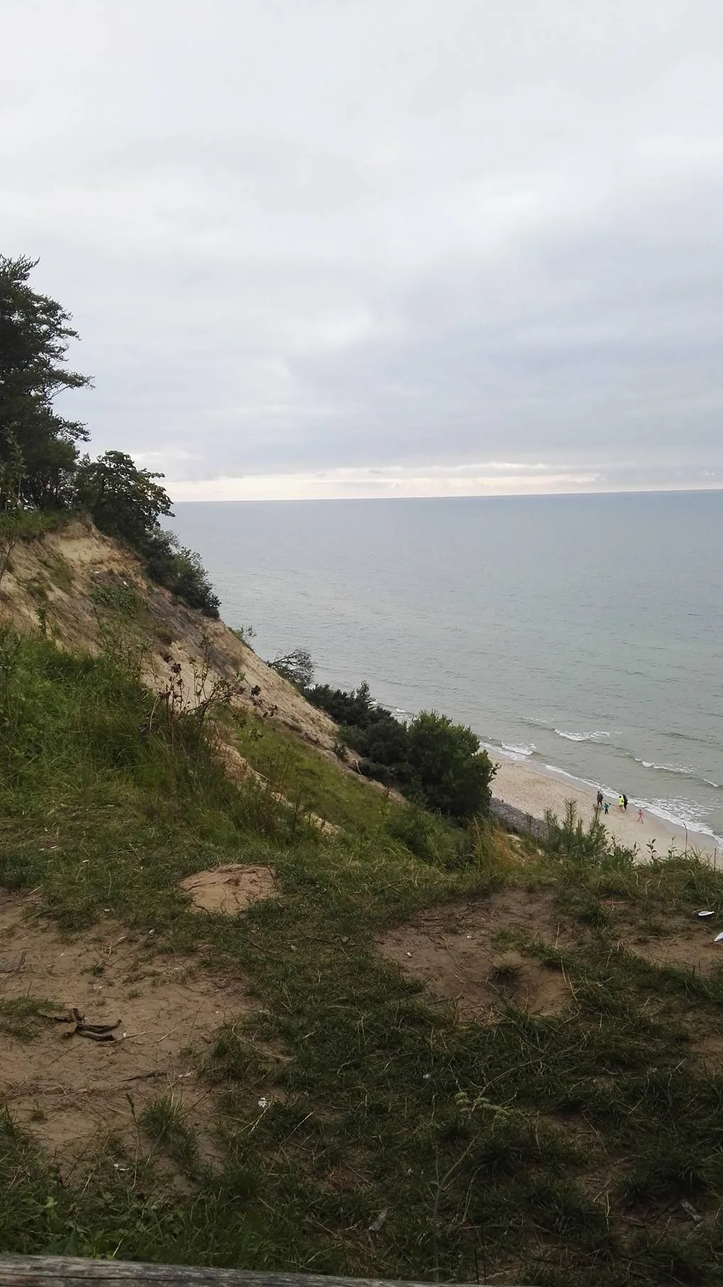This is a photography of protected area with CRFOP ID
